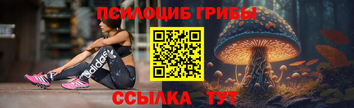 Псилоцибиновые грибы Psilocybine cubensis Бузулук